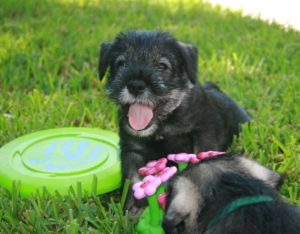 And shared our joy in the shade.