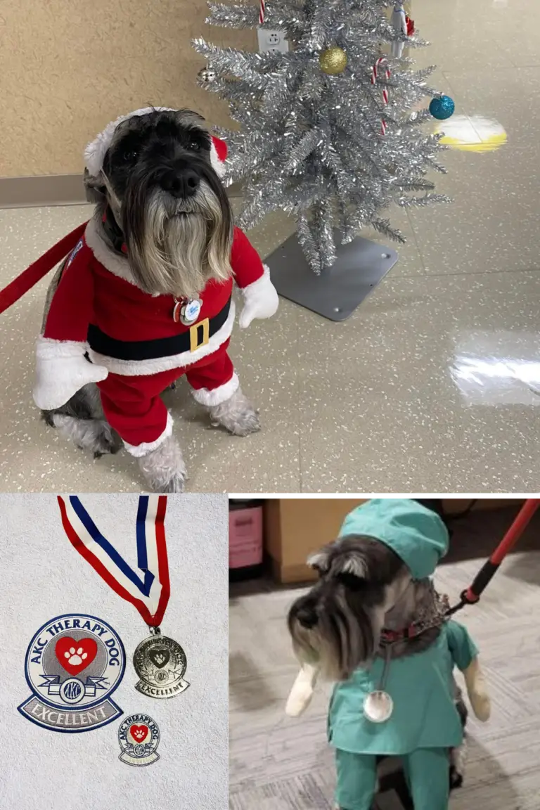 Untitled design (76)